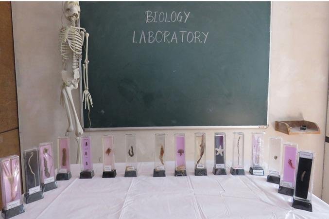 Biology Lab Workspace