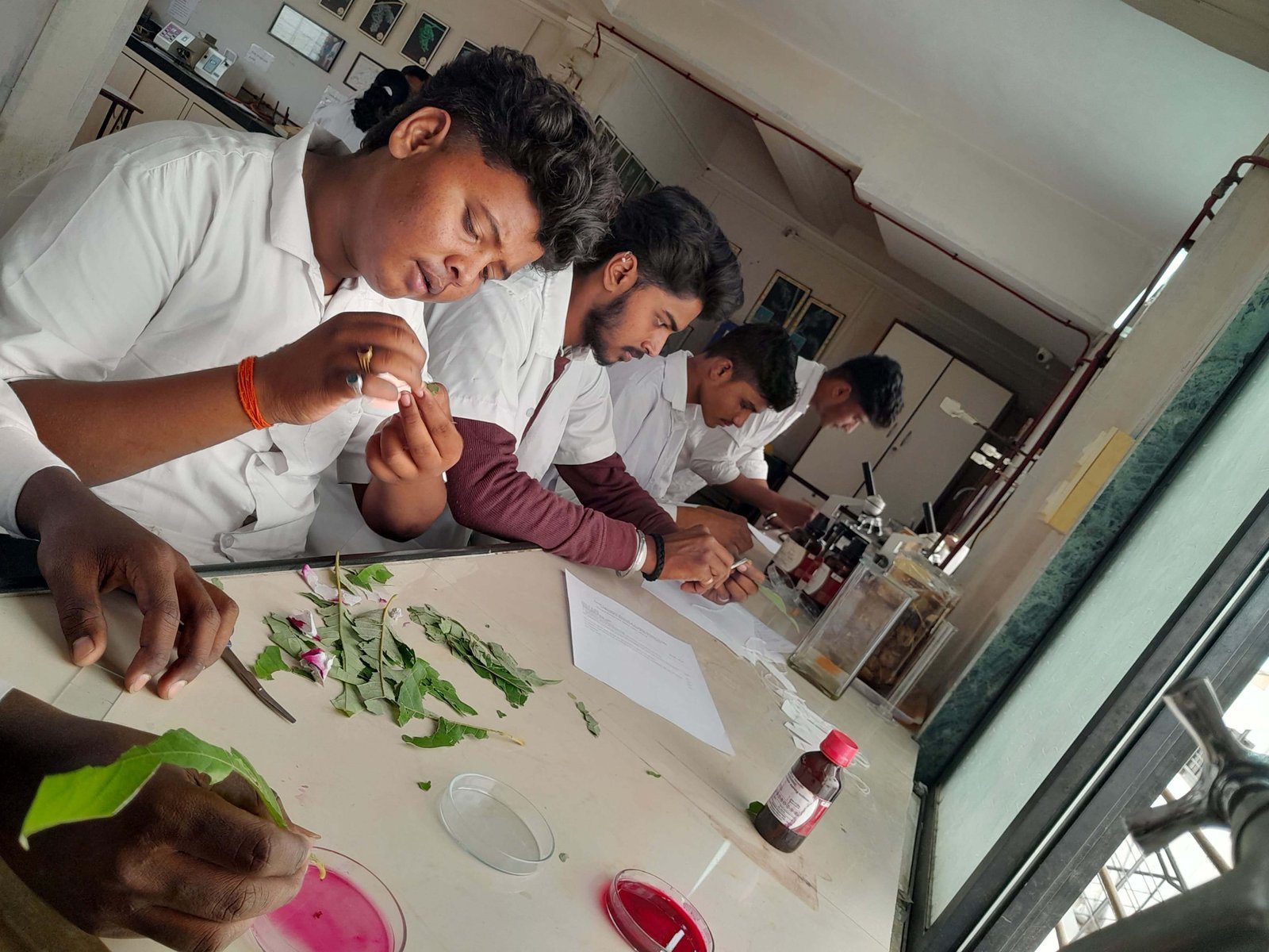 Botany Lab Equipment