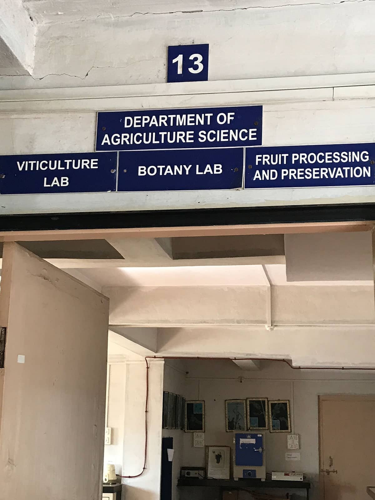 Plant Specimen Collection